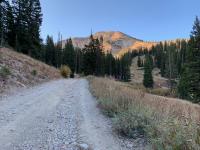 View of Mount Baldy from the Collins service road.