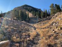 View of Mount Baldy from the Baldy Shoulder area.