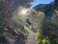 Sunrise in Battle Creek canyon