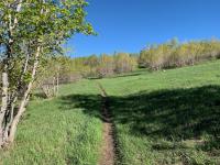 The trail out of upper Battle Creek