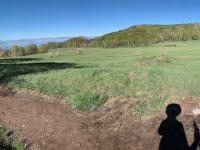 Crossing out of the Battle Creek drainage, looking west. The aspen stand's northern edge abuts Chris Flat to the north.