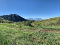 View of Big Baldy to the south, and Battle Creek drainage.