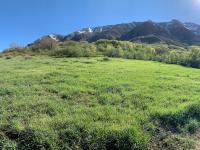 Mount Timpanogos, west side