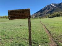 Timponeke-Chris Flat trail no. 151. North Timpanogos on the right.