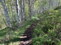 Dropping into Grove Creek drainage from Chris Flat