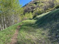 Trail 151 follows a Civilian Conservation Corps trench once you drop into the Grove Creek drainage. The primary (unnamed) trail loses elevation faster and is more direct to Indian Springs.