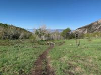 View of Indian Springs, looking west.