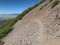 Trail view in Grove Creek