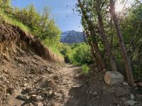 Battle Creek trail looking east to Mount Timpanogos