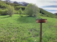 Battle Creek trail looking east-southeast to Mount Timpanogos