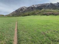 Chris Flat looking northeast to Mount Timpanogos