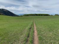 Christ Flat looking southwest to Mount Nebo (center distant) and Loafer Mountain (center left) with Big Baldy on the left foreground