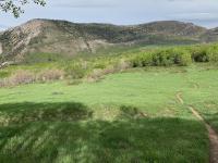 Dropping into Grove Creek Canyon, looking at the east side of Mahogany Mountain