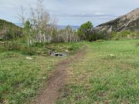 Indian Springs at the top of Grove Creek