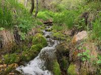 Some spring runoff