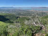 View of Orem and Provo above Dry Canyon