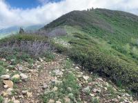 Ridge south of Big Baldy