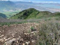 View from Big Baldy summit looking south