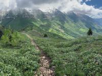 Trail down from Big Baldy summit looking east toward Timpanogos