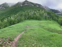 Saddle below Big Baldy and Timpanogos (erosion-control trench center-left)