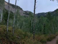 Looking up Timpanogos Basin. Mount Timpanogos summit visible just right of the aspen in the center of the photo.