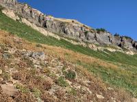 Some great blue limestone hoodoos. The 1955 B-25 crash site is just to the north of here.