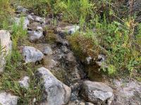 Two small streams cross the trail around 1 to 1.25 miles from the trailhead.