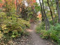 Much of the trail is smooth and clear.