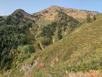 View of Box Elder Peak (right) from about the 2 mile mark.