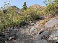 Great Blue Limestone makes the trail dark gray and purple in some places.