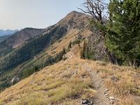 View of Box Elder Peak at the 3.5 mile mark, just past the Dry Creek-Deer Creek trail meeting.