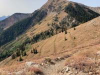 View of Box Elder Peak with man-made erosion control trenches dug by the Civilian Conservation Corps between 1933 and 1941.