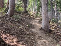 The trail is well-maintained, even on the steepest parts.