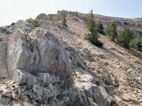 The last half-mile of trail to the peak is not as steep as the preceding half-mile, but is rocky and more exposed.