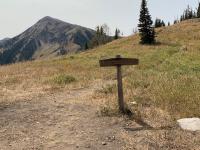 One last look at Box Elder Peak from the meadow.