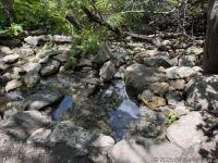 A small spring