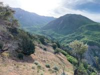 Timpanogos (left) and Big Baldy (right)