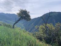 Big Baldy (right) and Timpanogos