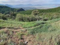 Little Mountain (right) and the limestone cliffs above Battle Creek canyon