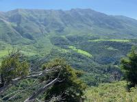 View of Timpanogos with Chris Flat on the right center