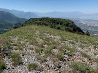 Looking south on Mahogany Mountain ridge