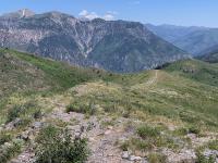 The trail from the peak down to the top of Heisetts Hollow. If I ever hiked this peak again, I would take this route.