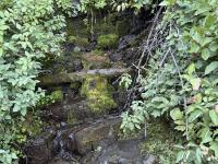A little water in August