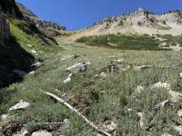 Another look up toward the ridge above Pika Cirque
