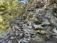 Sedimentary, Watson