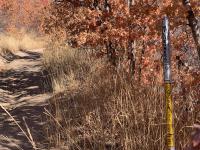 Wilderness area marker