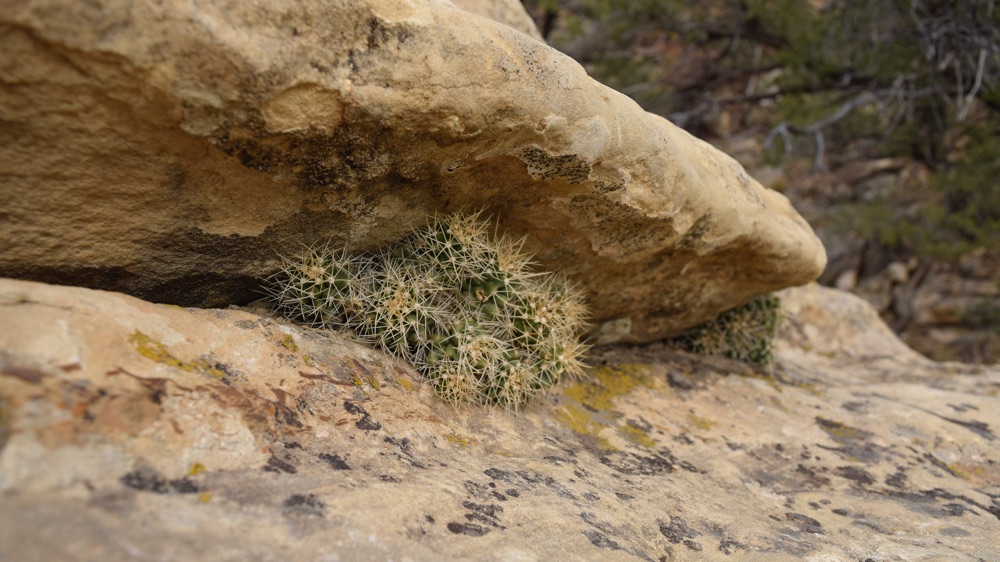 Hiking from Petroglyphs