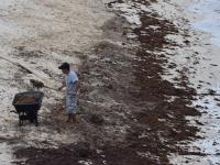 cleaning up detritus in Half Moon Bay