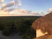 Sunset over the jungle